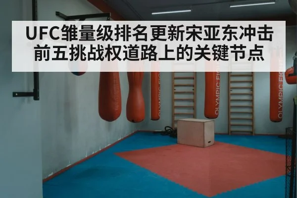 UFC雏量级排名更新宋亚东冲击前五挑战权道路上的关键节点